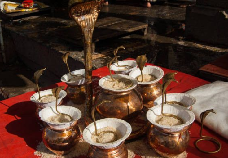 KAALSARP DOSH PUJA (कालसर्प दोषपुजा)